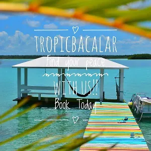 https://tropic-bacalar.quintano-roohotels.com